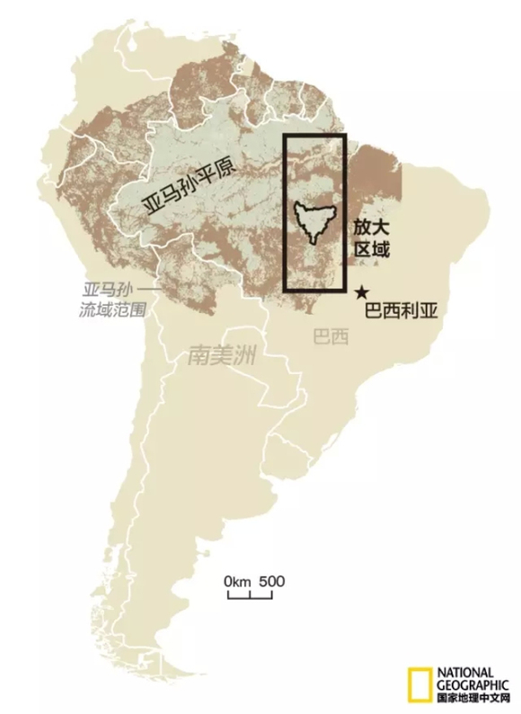 文章配图