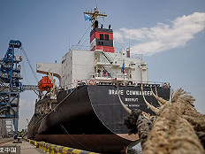 黑海首艘人道主义运粮船前往非洲，能缓解粮食危机吗？