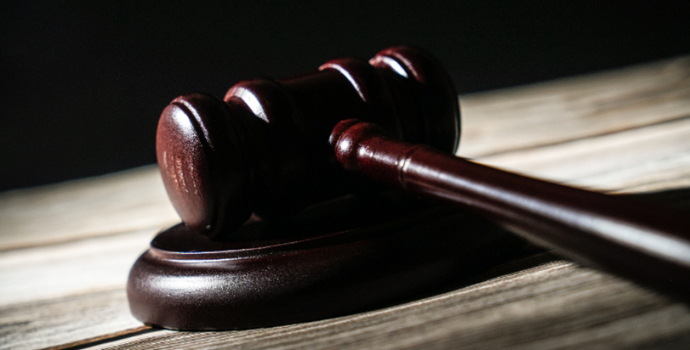 地方新闻精选 | 大连涉107亿元非法集资案宣判 中华白海豚误入珠江内河被救助