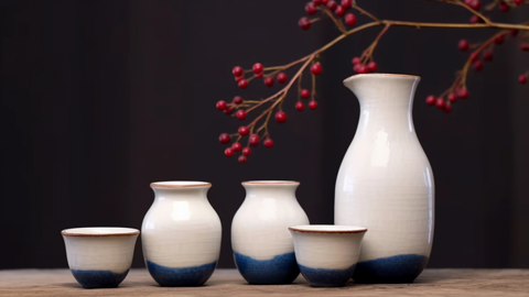 汤向阳是合格的珍酒李渡CEO吗