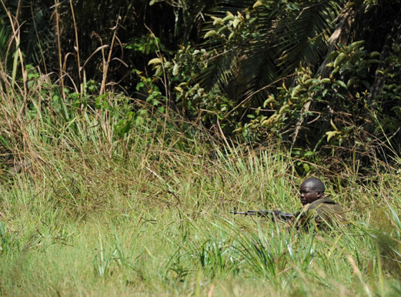 一位埋伏在芦苇丛中的巡逻队员,照片摄于2016年2月7日